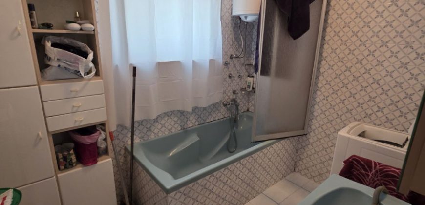 Stambeni objekat 143 m2 na placu od 4908 m2 – Trn