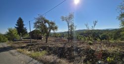 Stambeni objekat u izgradnji sa 33.461 m2 zemljita – Motike