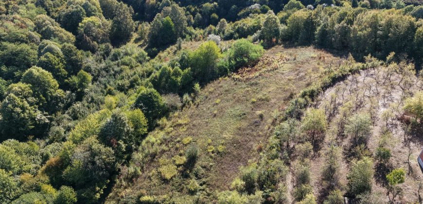 Stambeni objekat u izgradnji sa 33.461 m2 zemljita – Motike
