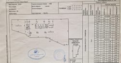 Iznajmljuje se poslovni objekat 320 m2 – K4