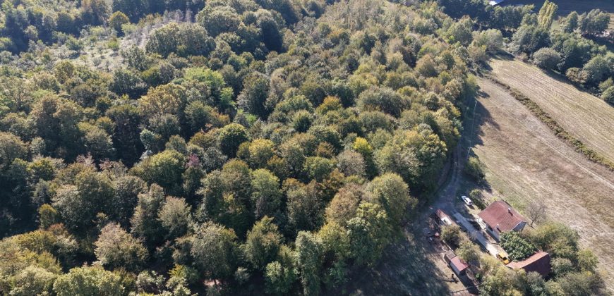 Zemljište sa šumom 14,606 m2 – Jakupovci
