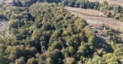 Zemljište sa šumom 14,606 m2 – Jakupovci