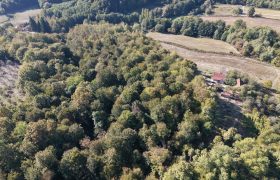 Zemljište sa šumom 14,606 m2 – Jakupovci