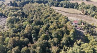 Zemljište sa šumom 14,606 m2 – Jakupovci