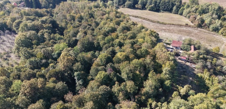 Zemljište sa šumom 14,606 m2 – Jakupovci