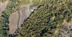 Zemljište sa šumom 14,606 m2 – Jakupovci