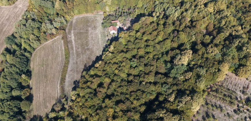 Zemljište sa šumom 14,606 m2 – Jakupovci