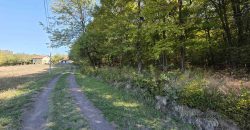 Zemljište sa šumom 14,606 m2 – Jakupovci