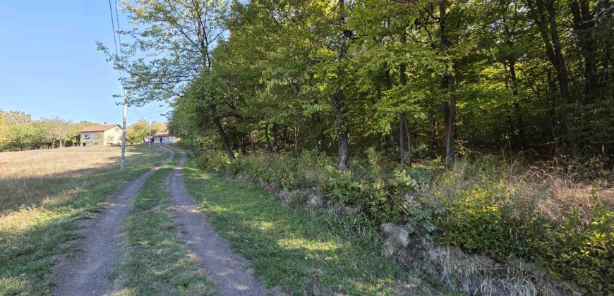 Zemljište sa šumom 14,606 m2 – Jakupovci